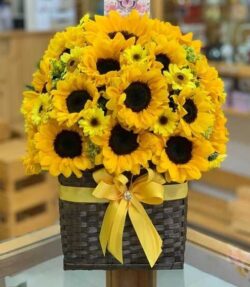 lẵng hoa hướng dương khai trương cửa hàng