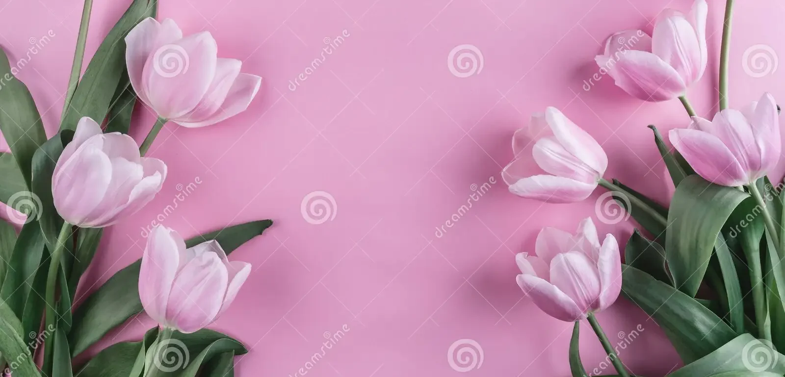 bó hoa tulip đẹp