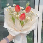 bó hoa tulip đỏ 3 bông mix hoa cúc tana
