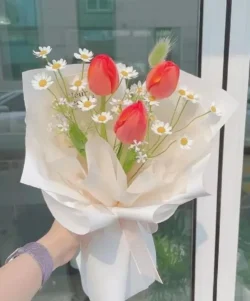 bó hoa tulip đỏ 3 bông mix hoa cúc tana