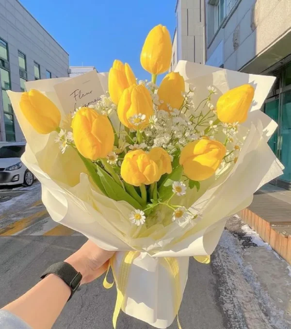 bo-hoa-tulip-vang bó hoa tulip vàng tone giấy trắng