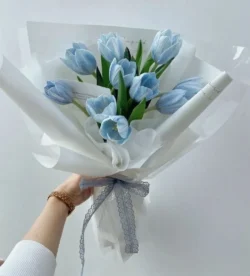 30+ bó hoa tulip xanh dương nhạt gói giấy trắng