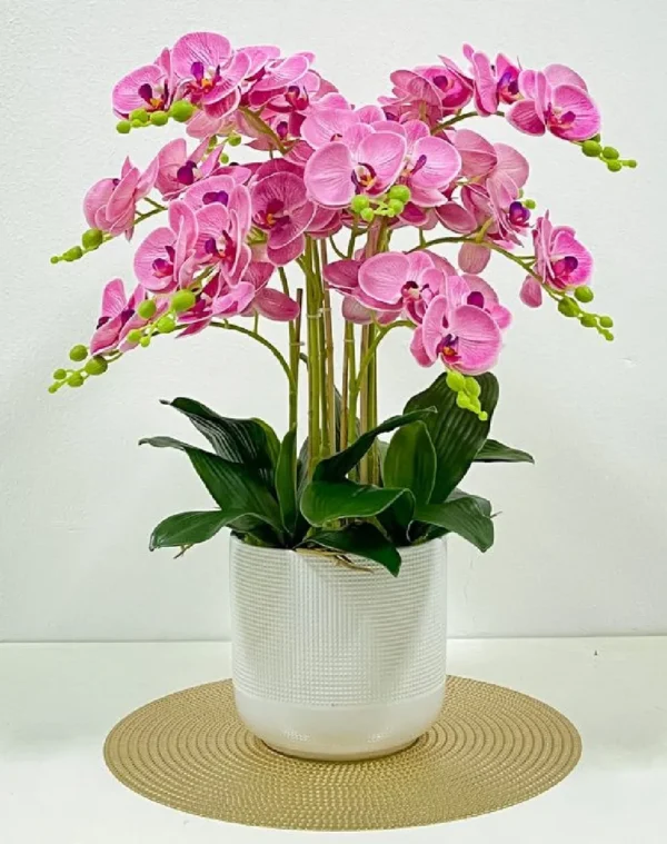 Chậu hoa lan hồ điệp hồng 10 cành - 7F Garden Chậu hoa lan hồ điệp hồng 10 cành - 7F Garden
