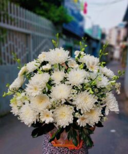 giỏ hoa cúc trắng viếng đám ma