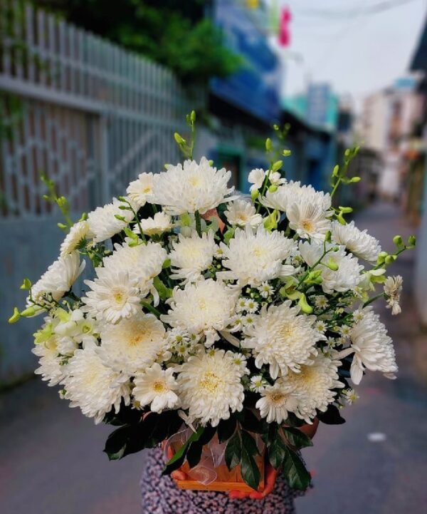 giỏ hoa cúc trắng viếng đám ma