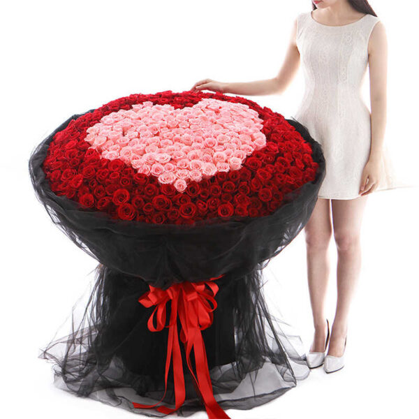 Bó hoa hồng khổng lồ (2) Bó hoa hồng khổng lồ 520 bông hoa