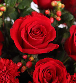 Giỏ hoa hồng màu đỏ