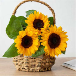 Giỏ hoa sáp hướng dương 3 bông