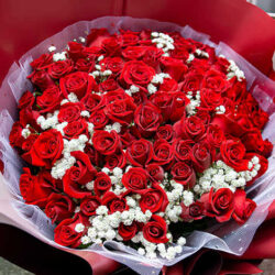 hoa hồng đỏ 100 bông