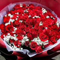 bó hoa hồng 100 bông