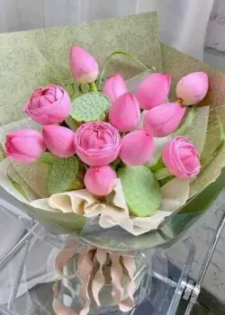 Bó hoa sen chúc mừng sinh nhật