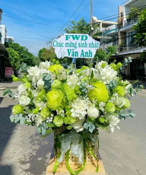 gio-hoa-cuc-mau-don-xanh-la-cay gio hoa cuc mau don xanh la cay e1743825503973