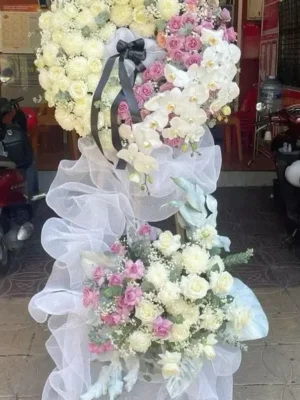 hoa dam tang 2 e1736239596985