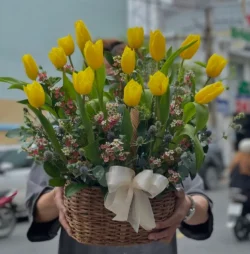 hoa tulip tặng sinh nhật người lớn tuổi