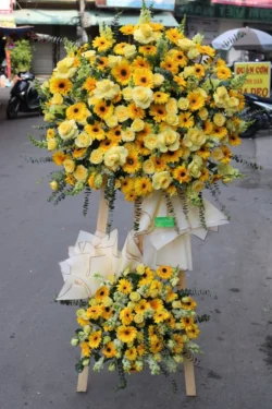 kệ hoa đồng tiền vàng