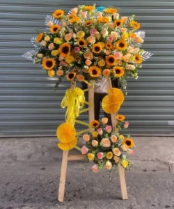 Mẫu kệ hoa khai trương hướng dương