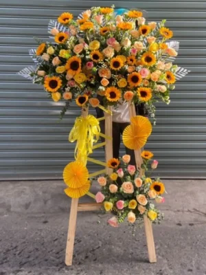 Mẫu kệ hoa khai trương hướng dương