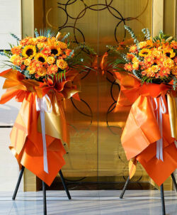 kệ hoa khai trương màu cam