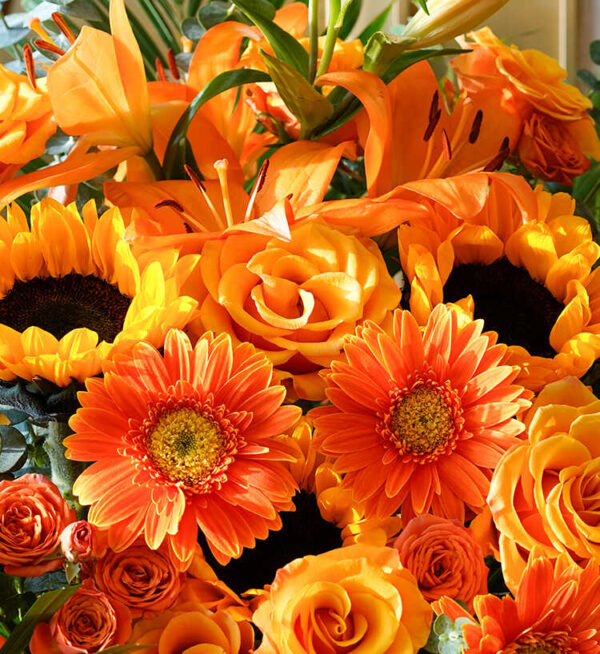 hoa khai trương màu cam