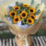 bó hoa hướng dương tròn