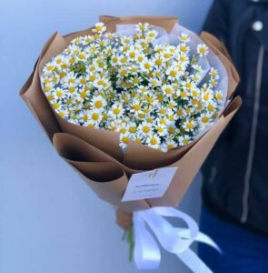 bó hoa cúc họa mi