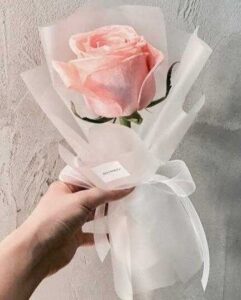 bó hoa hồng 1 bông tươi thắm đơn giản