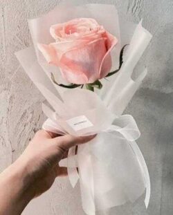 bó hoa hồng 1 bông tươi thắm đơn giản