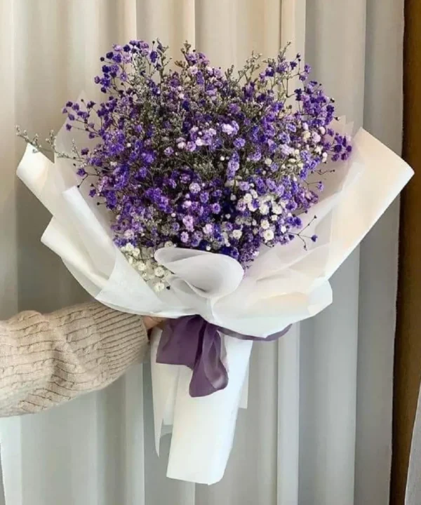 bo-hoa-baby-tim (2) bo hoa baby tim 2 e1742970129868