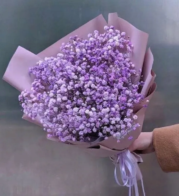 bo hoa baby tim 5 Đặc điểm hoa baby