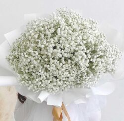 bó hoa bi trắng đẹp