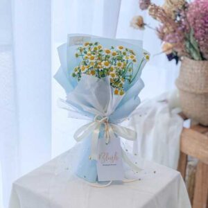 bó hoa cúc họa mi trắng