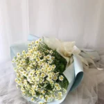 bó hoa cúc họa mi trắng