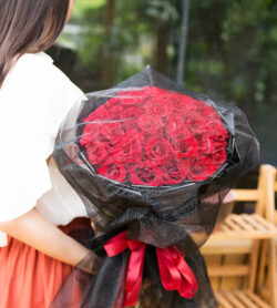 mẫu bó hoa hồng cầu hôn