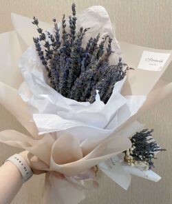 bó hoa lavender
