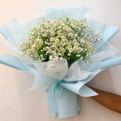 bó hoa thạch thảo