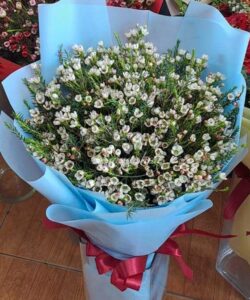 Bó hoa thanh liễu