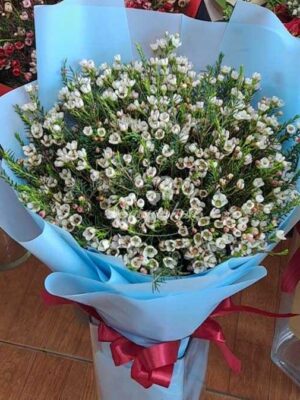 Bó hoa thanh liễu