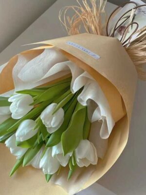 bó hoa tulip trắng 10 bông