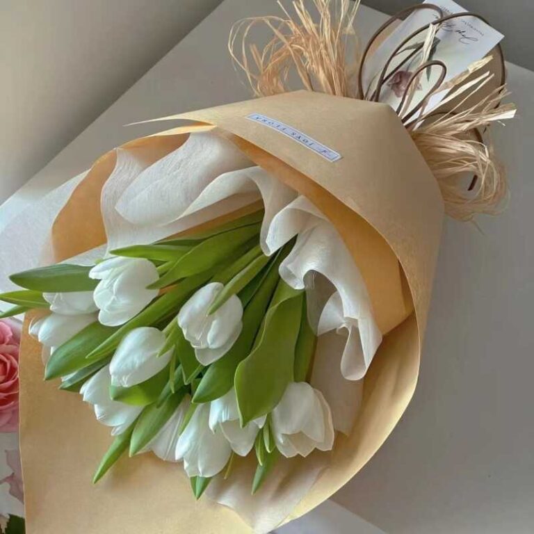 bó hoa tulip trắng 10 bông