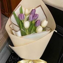 bó hoa tulip mix trắng và tím 10 bông