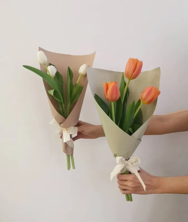 bó hoa tulip 3 bông màu hồng trắng