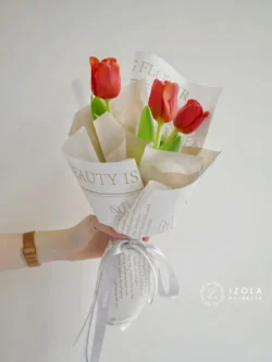 bó hoa tulip 3 bông đỏ