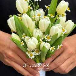 bó hoa tulip trắng cầm tay