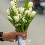 bó tulip trắng cô dâu