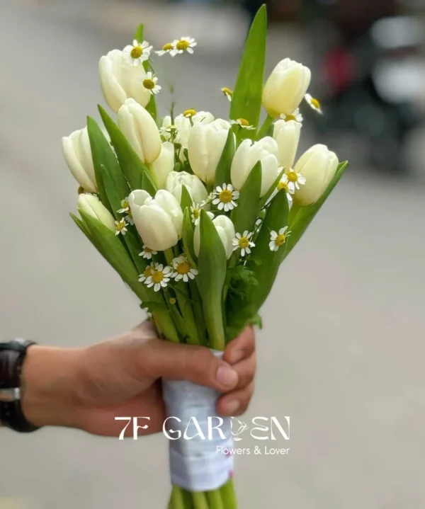 bó tulip trắng cô dâu