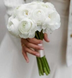 hoa cưới mao lương trắng