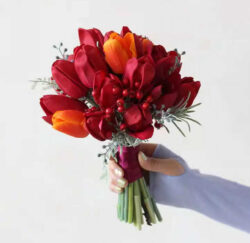 hoa tulip cưới đỏ