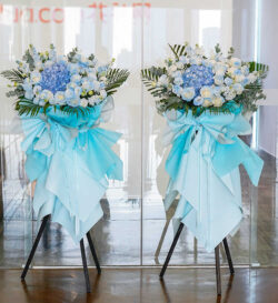 hoa khai trương tone xanh