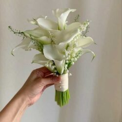 hoa rum cưới trắng