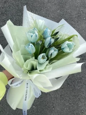 hoa tulip bo mau xanh hoa tulip bo mau xanh